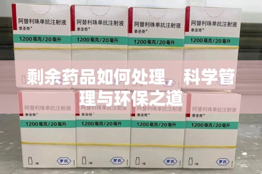 昆明剩余药品如何处理，科学管理与环保之道