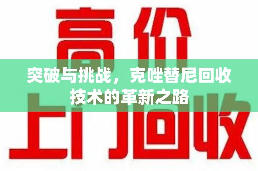 昆明突破与挑战，克唑替尼回收技术的革新之路