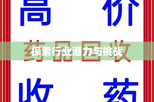 昆明探索行业潜力与挑战
