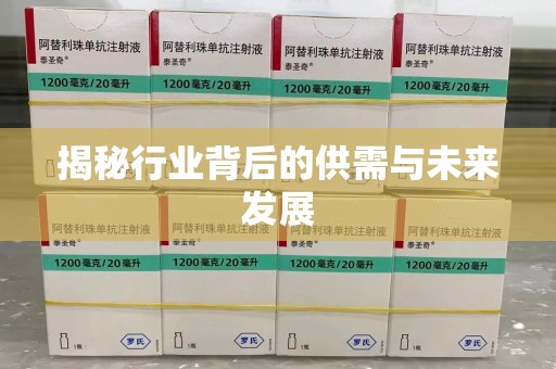 昆明揭秘行业背后的供需与未来发展